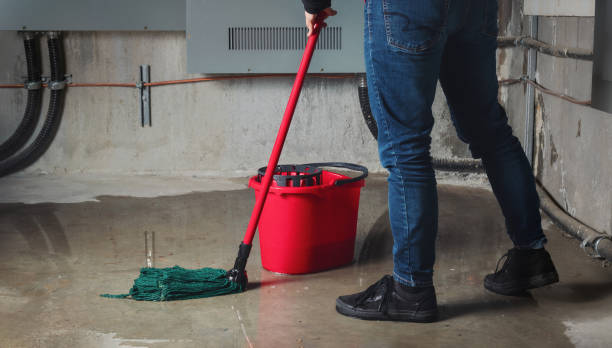 Best Local water damage restoration  in San Juan Bautista, CA