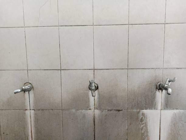 Carpet water damage restoration in San Juan Bautista, CA